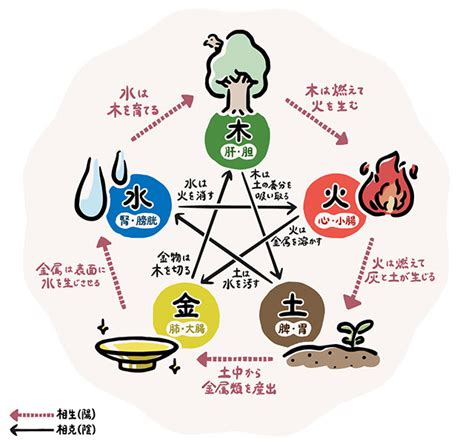 五行 金 性質|五行の意味(金) 